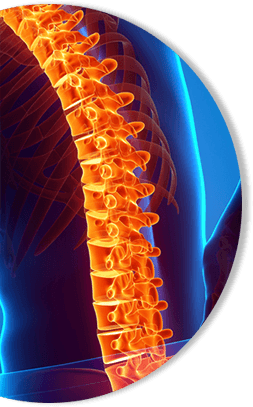 Thoracic Image